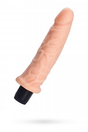 Cicimshop Plim Realistik Vibratör, TPE, Ten, 19,5 cm&hellip;