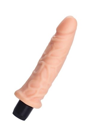 Cicimshop Plim Realistik Vibratör TPE Ten 19,5 cm… Cicimshop Plim Realistik Vibratör TPE Ten 19,5 cm…