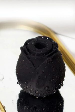 Rose Klitoral Emiş ve Titreşim Vibratörü – Şarjlı Silikon Gül Tas… Rose Klitoral Emiş ve Titreşim Vibratörü – Şarjlı Silikon Gül Tas…